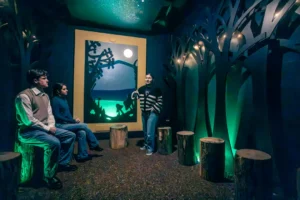 Guide sharing Irish folklore in a moonlit forest-themed room, as visitors sit on wooden tree stump seats at the National Leprechaun Museum.