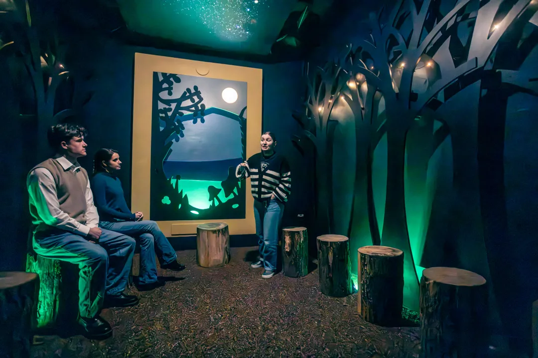 Guide sharing Irish folklore in a moonlit forest-themed room, as visitors sit on wooden tree stump seats at the National Leprechaun Museum.