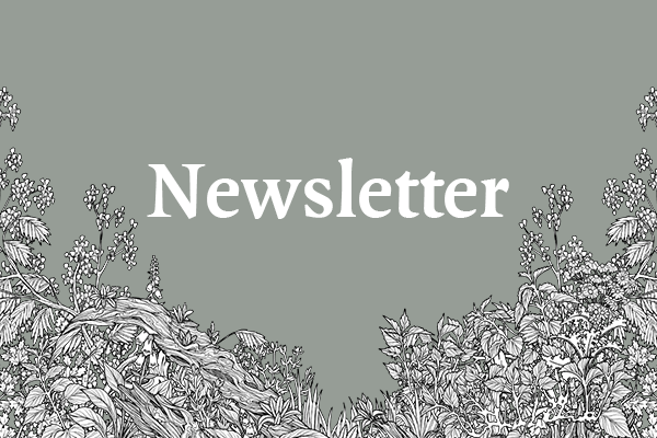 The word 'Newsletter' in white on a green background with ink drawings of plants.