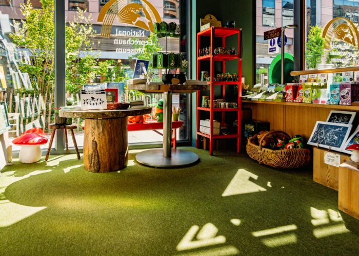 The museum gift shop, with sunlight shining through a large window. Wooden tables made from logs and shelves displaying souvenirs and prints can be seen.